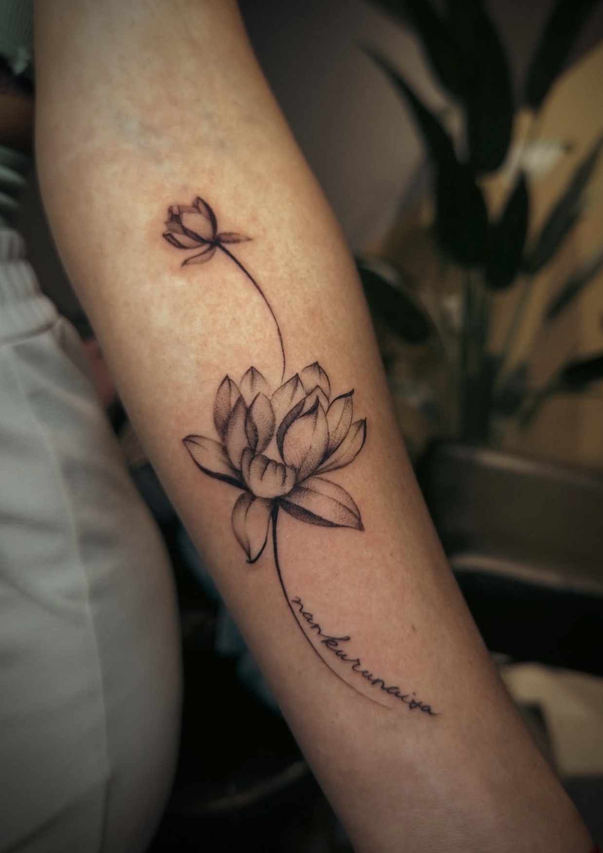 Trabajo FINE LINE de Tattooink507